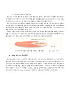 [품질경영] 포스코의 6시그마-8