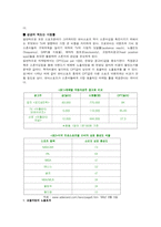 [스포츠마케팅] 우리나라의 모터스포츠-4