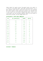 [스포츠마케팅] 우리나라의 모터스포츠-5
