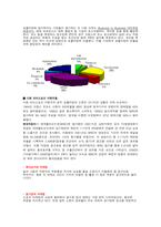 [스포츠마케팅] 우리나라의 모터스포츠-8