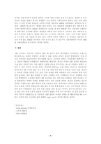 NF소나타의 마케팅전략-7