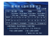 [사업계획서] 온라인택배할인회사-5