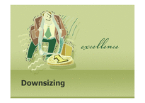 다운사이징 Downsizing-1