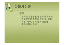 다운사이징 Downsizing-5