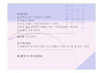 [사업계획서] 실버산업 -실버메이트-17