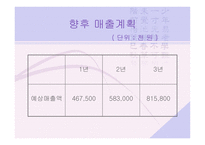 [사업계획서] 실버산업 -실버메이트-20