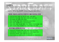 [스포츠마케팅] e-sports 이스포츠(인터넷스포츠)-8