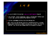 [경영전략] LG전자의 인도 마케팅전략-3