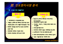 [경영전략] LG전자의 인도 마케팅전략-11