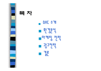 [광고기획안 광고기획서] DHC 광고전략-2