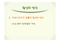 [스포츠마케팅] 해양스포츠의 활성화 방안-19