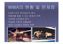 한국프로레슬링의 발전방안-11