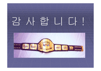 한국프로레슬링의 발전방안-17
