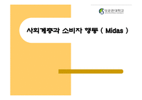 [소비자행동] 사회계층과 소비자행동-1