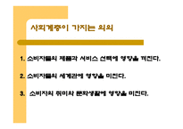[소비자행동] 사회계층과 소비자행동-4