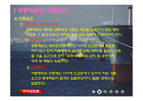 [무역보험] 공동해손-14