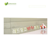 [마케팅] 레드망고 마케팅분석-1