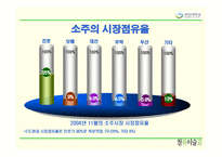 [마케팅] 참이슬의 마케팅 성공전략-4