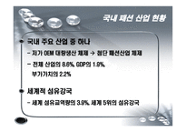 [국제경영] 보성인터내셔널 브랜드 해외진출-6