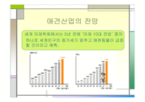 [사업계획서] 동물농장-4