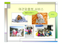 [사업계획서] 동물농장-6