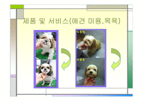 [사업계획서] 동물농장-8