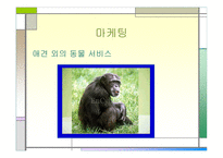 [사업계획서] 동물농장-17