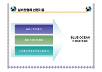 [벤처창업론] 실버산업 사업계획서-8