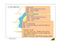 [광고기획서] 하이트 맥주 마케팅기획-17