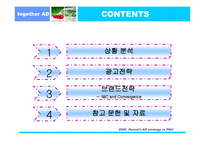 펜잘 광고기획서-2