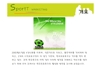 [스포츠마케팅] 한국프로축구의 활성화 방안-3