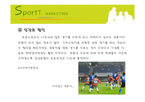 [스포츠마케팅] 한국프로축구의 활성화 방안-14