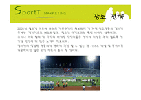 [스포츠마케팅] 한국프로축구의 활성화 방안-16