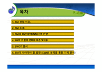 SM Entertainment(sm엔터테인먼트)의 성공전략-2