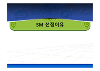 SM Entertainment(sm엔터테인먼트)의 성공전략-3