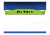 SM Entertainment(sm엔터테인먼트)의 성공전략-6