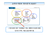 ADR컨디션 광고기획서-13