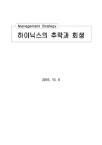 [경영전략] 하이닉스의 추락과 회생-1