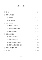 [경영전략] 하이닉스의 추락과 회생-2