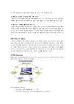 [국제물류운송론] 페덱스 FedEx & DHL 성공 분석-7