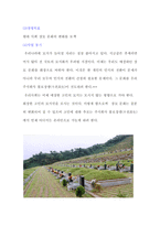 [사업계획서] 전자 상거래를 이용한 인터넷 묘지 서비스-3