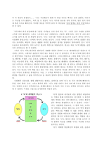 [현대문학] 윤후명 소설의 환상성 - 나비의 전설-7