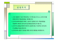 유치원 프로그램-3