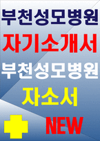 부천성모병원자소서자기소개서]부천성모병원자소서 부천성모병원 자기소개서 부천성모병원 지원동기 및 장래계획 부천성모병원자기소개서예문 부천성모병원자소서-1