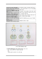 간호학 - 다태임신과 간호 (Multiple pregnancy)-4