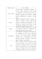 진핵세포와원핵세포의차이점-2