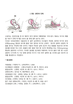 [출산과정] 분만 단계-2