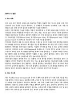 영아의 뇌 발달-2