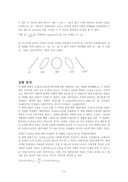 5주차 결과보고서-4