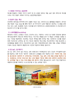 레고(LEGO)의 위기와 지속가능성-7